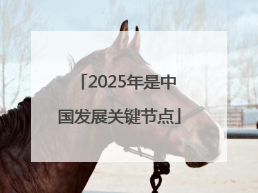 2025年是中国发展关键节点