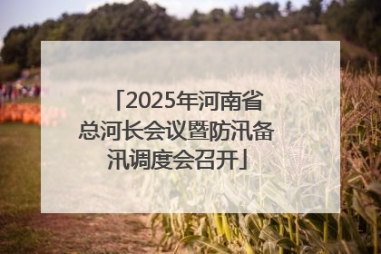 2025年河南省总河长会议暨防汛备汛调度会召开