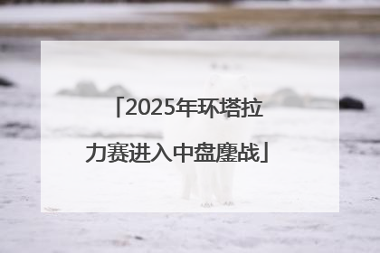 2025年环塔拉力赛进入中盘鏖战