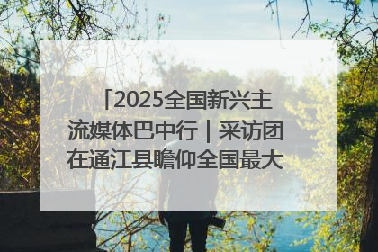 2025全国新兴主流媒体巴中行｜采访团在通江县瞻仰全国最大红军烈士陵园