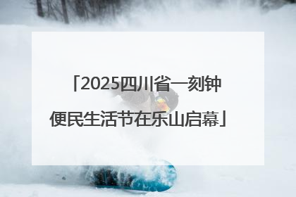 2025四川省一刻钟便民生活节在乐山启幕