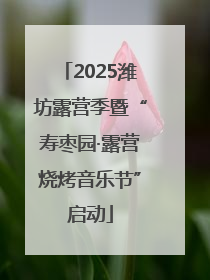 2025潍坊露营季暨“寿枣园·露营烧烤音乐节”启动
