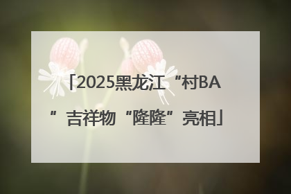 2025黑龙江“村BA”吉祥物“隆隆”亮相
