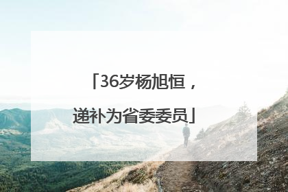 36岁杨旭恒，递补为省委委员