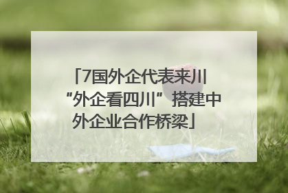 7国外企代表来川 “外企看四川”搭建中外企业合作桥梁