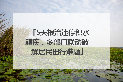 5天根治违停积水顽疾，多部门联动破解居民出行难题