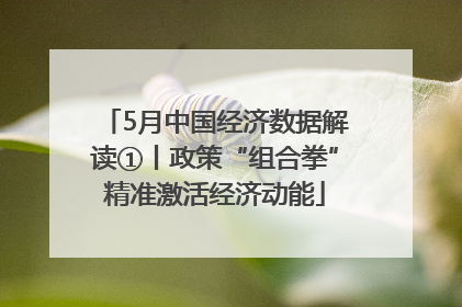 5月中国经济数据解读①丨政策“组合拳”精准激活经济动能