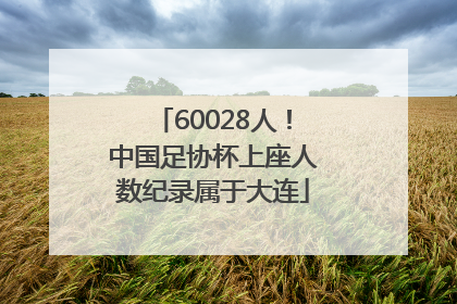 60028人！中国足协杯上座人数纪录属于大连