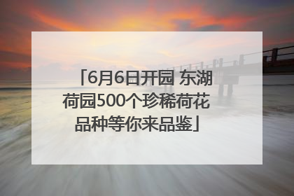 6月6日开园 东湖荷园500个珍稀荷花品种等你来品鉴