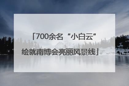 700余名“小白云”绘就南博会亮丽风景线