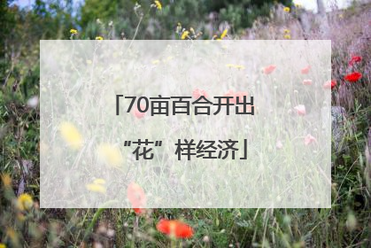 70亩百合开出“花”样经济