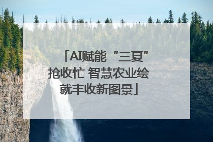 AI赋能“三夏”抢收忙 智慧农业绘就丰收新图景
