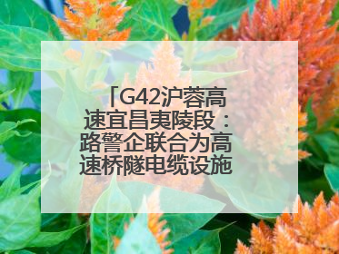 G42沪蓉高速宜昌夷陵段：路警企联合为高速桥隧电缆设施“舒筋通脉”