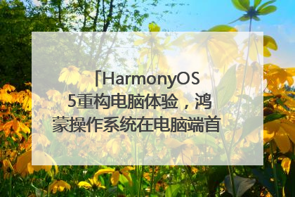 HarmonyOS 5重构电脑体验，鸿蒙操作系统在电脑端首次亮相丨新经济观察