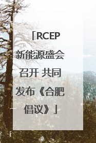RCEP新能源盛会召开 共同发布《合肥倡议》